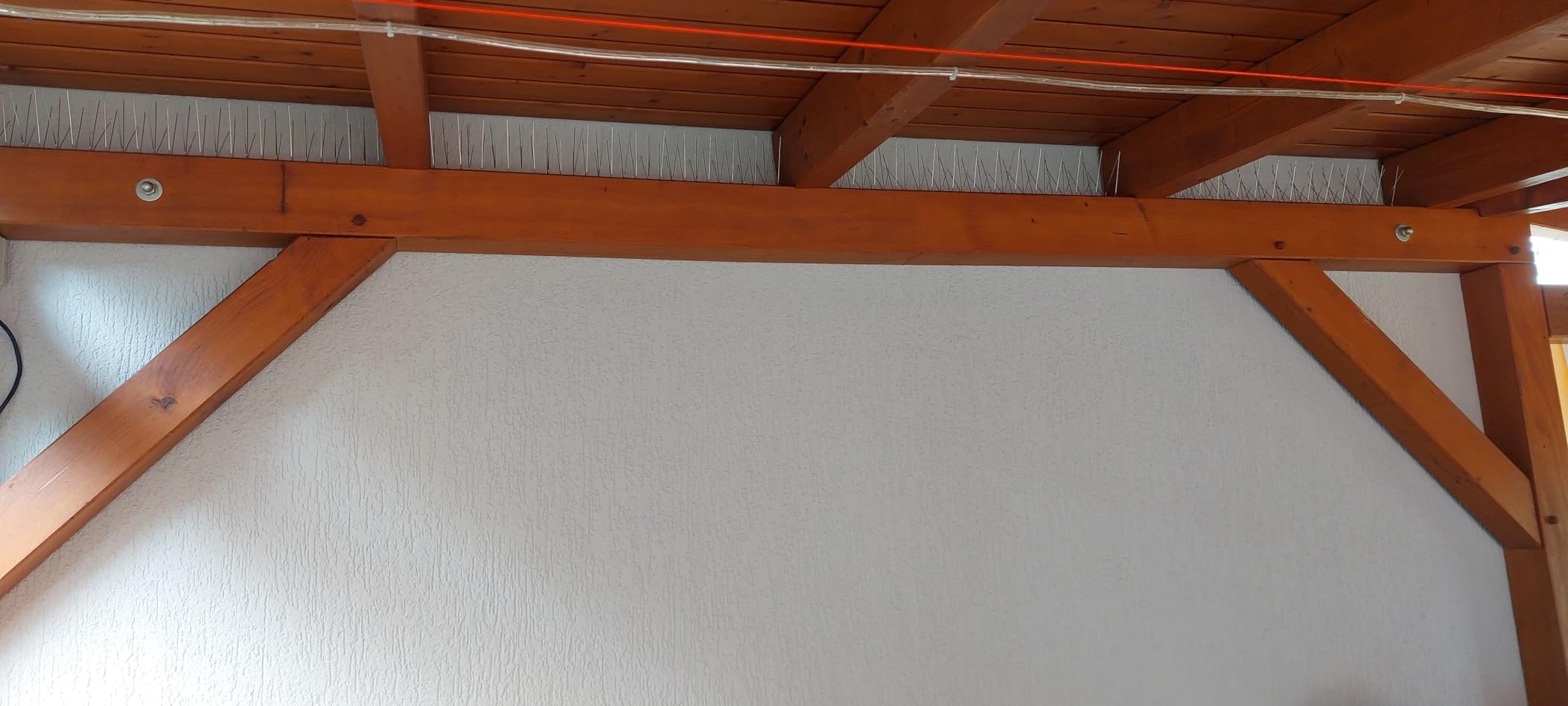 PRIOstahl Taubenspikes 5m 2-reihig Edelstahl V2A vormontiert