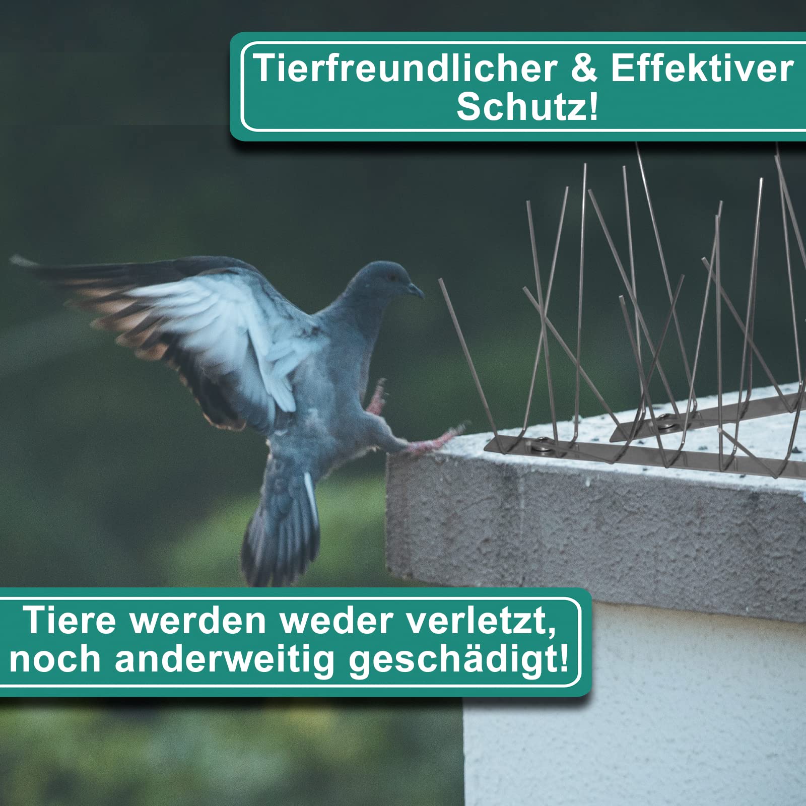 PRIOstahl Premium Taubenabwehr Edelstahl 6-reihig 5m