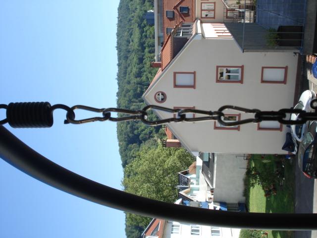 PRIOstahl Karabiner Edelstahl 4x40mm V4A 5 Stück rostfrei
