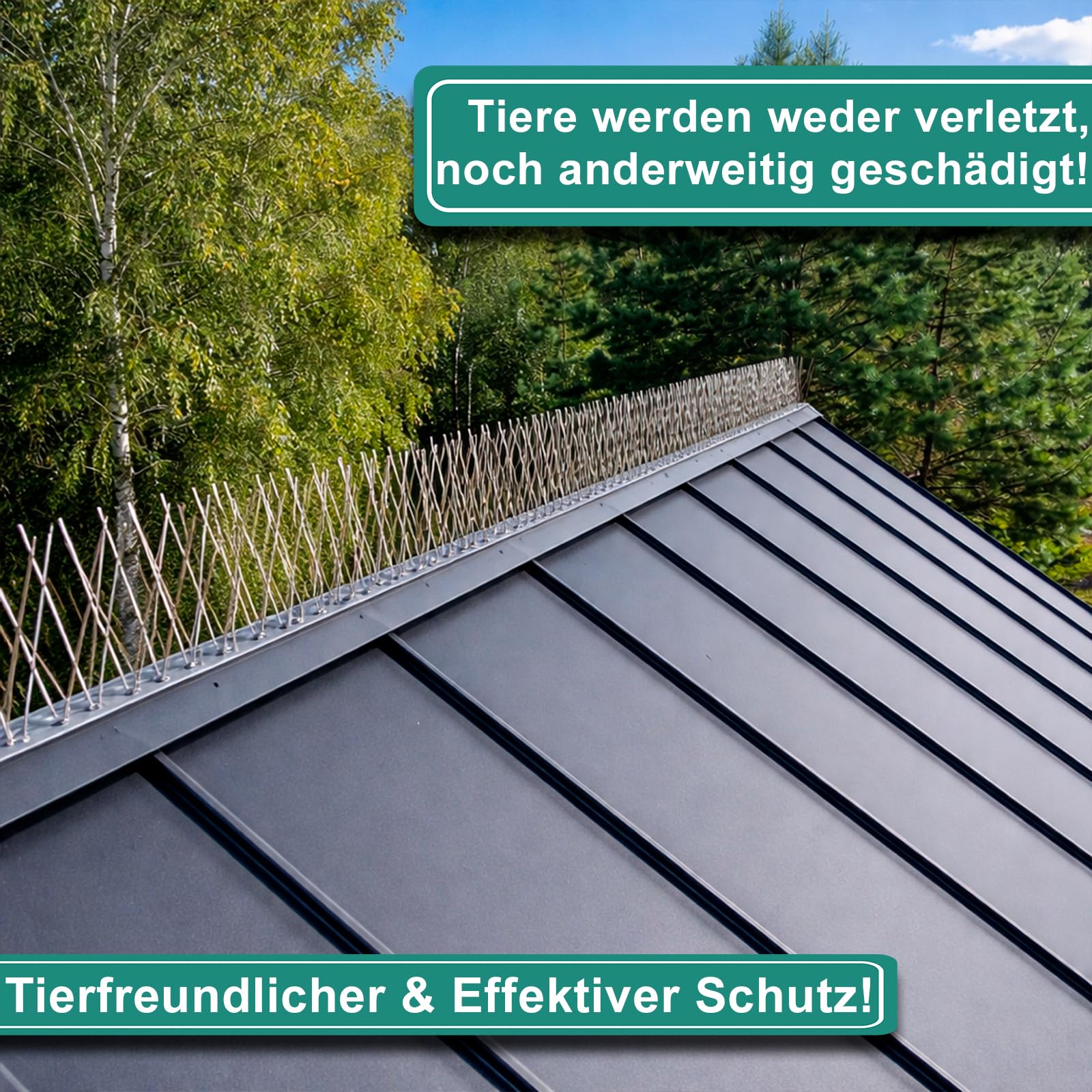 PRIOstahl Taubenabwehr 5-reihig 1m Edelstahl V2A Spikes