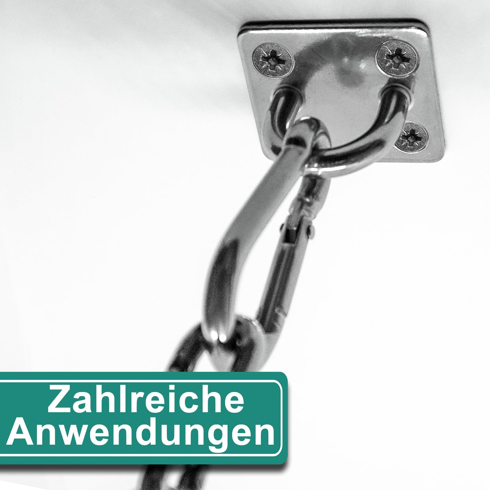 PRIOstahl Augplatte 50x40mm 4er Set mit Karabiner