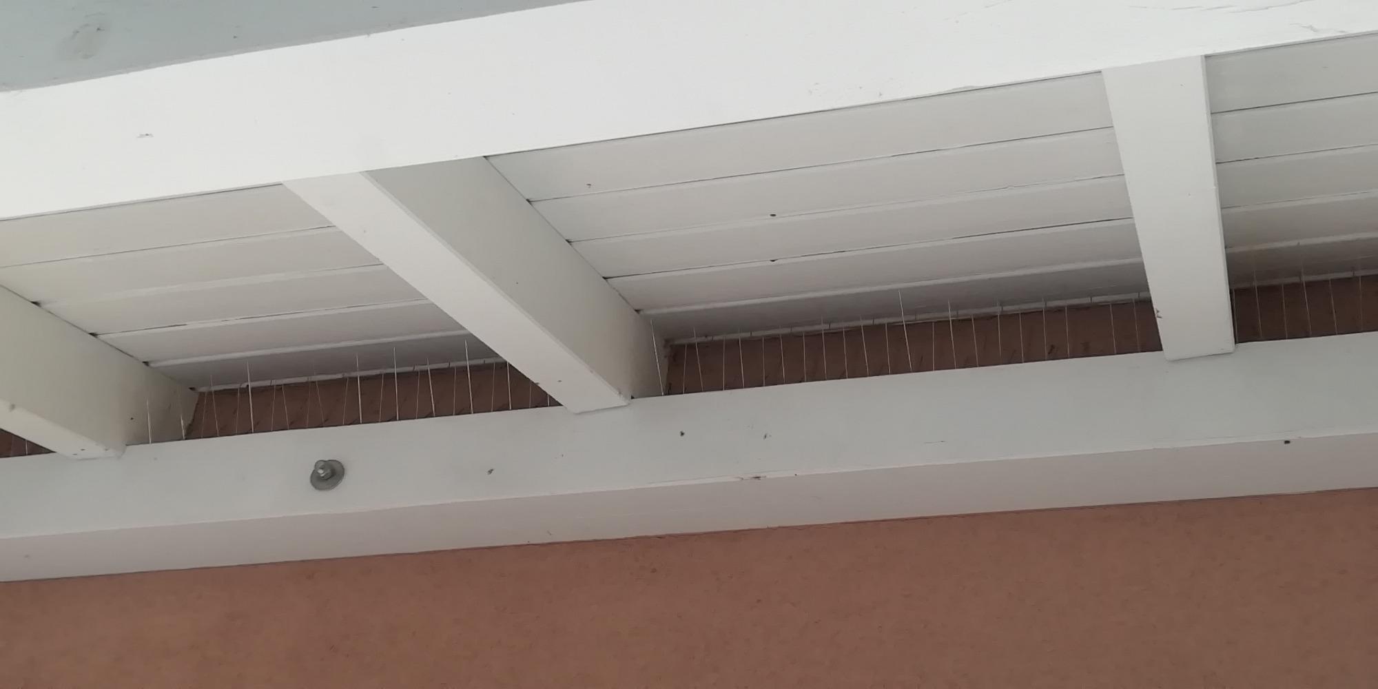 PRIOstahl Taubenspikes 5m 2-reihig Edelstahl V2A vormontiert