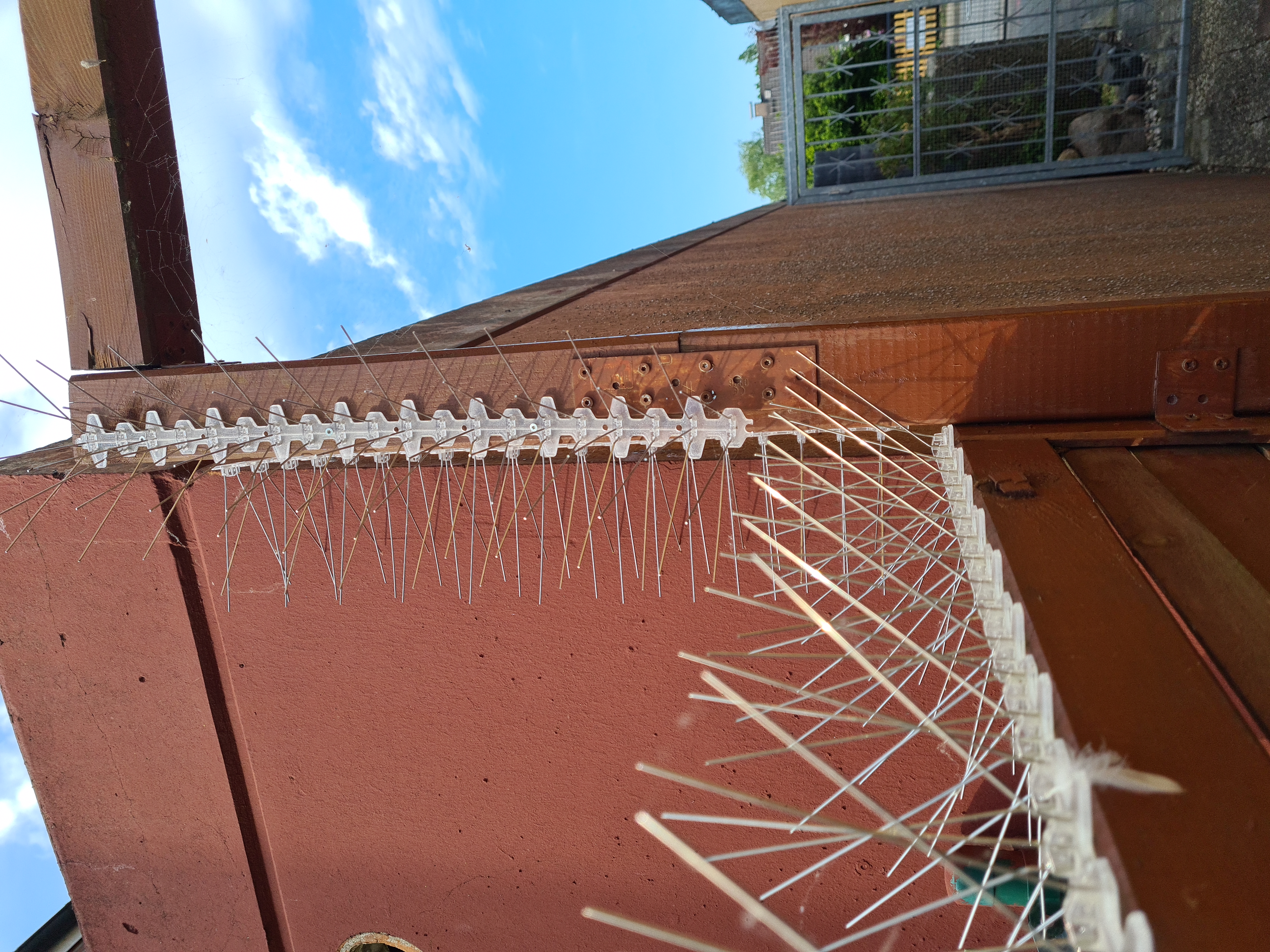 PRIOstahl Taubenspikes 5m 2-reihig Edelstahl V2A vormontiert