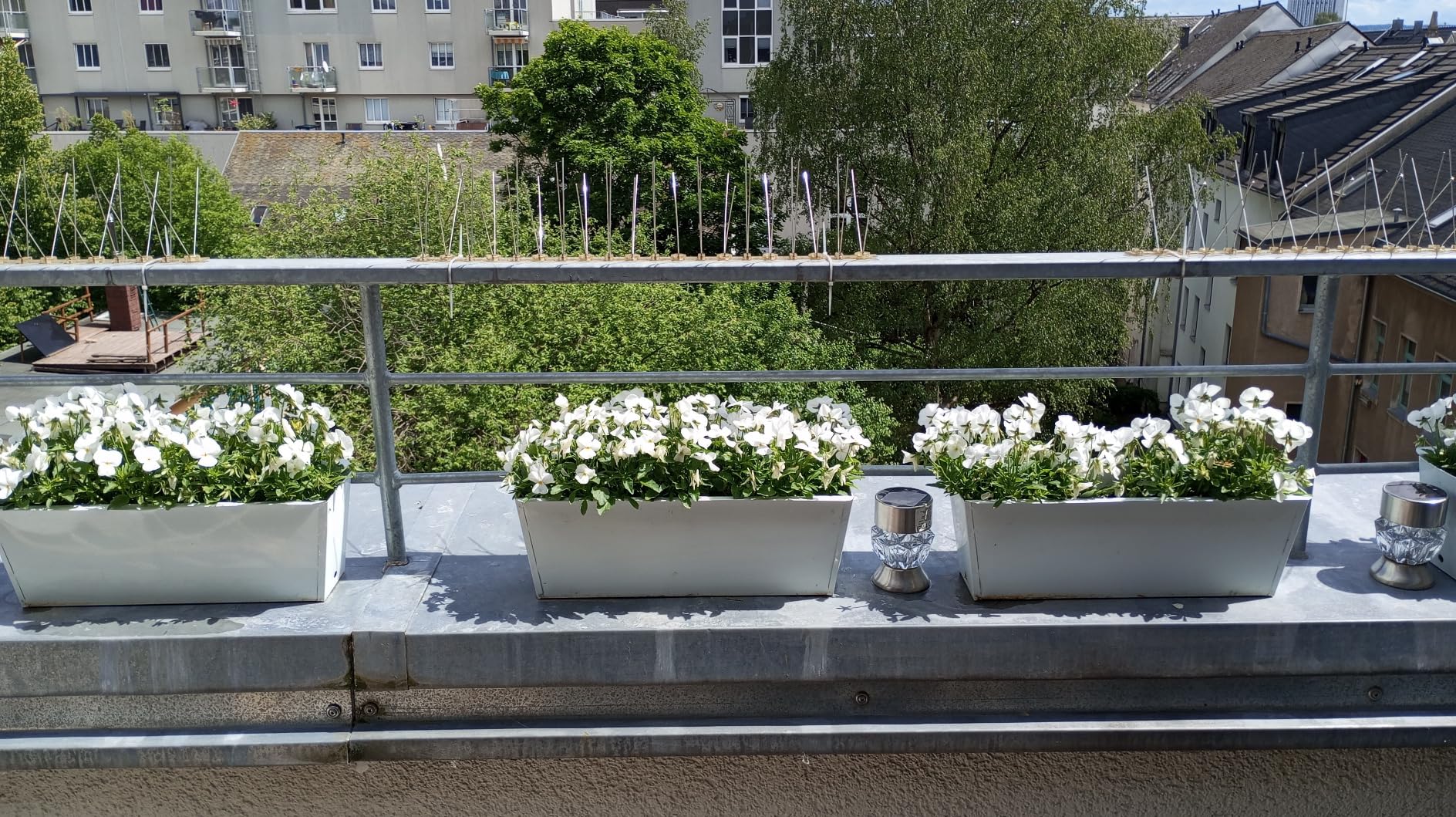 PRIOstahl Taubenspikes Edelstahl 4-reihig 3 m