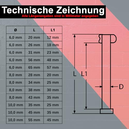 PRIOstahl Klappbolzen Sicherungsbolzen 6x20 mm V2A 2 Stück