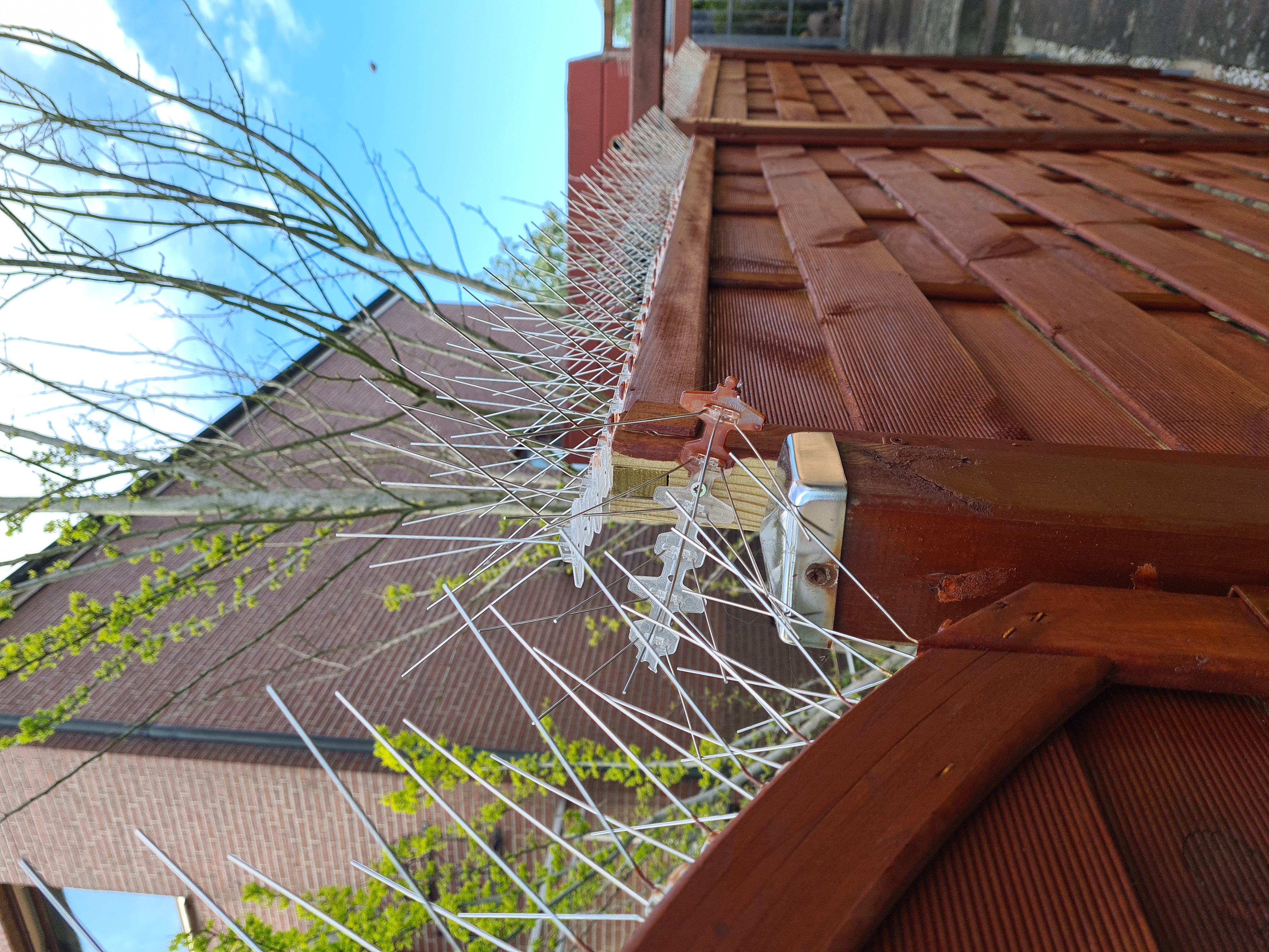 PRIOstahl Taubenspikes 5m 2-reihig Edelstahl V2A vormontiert