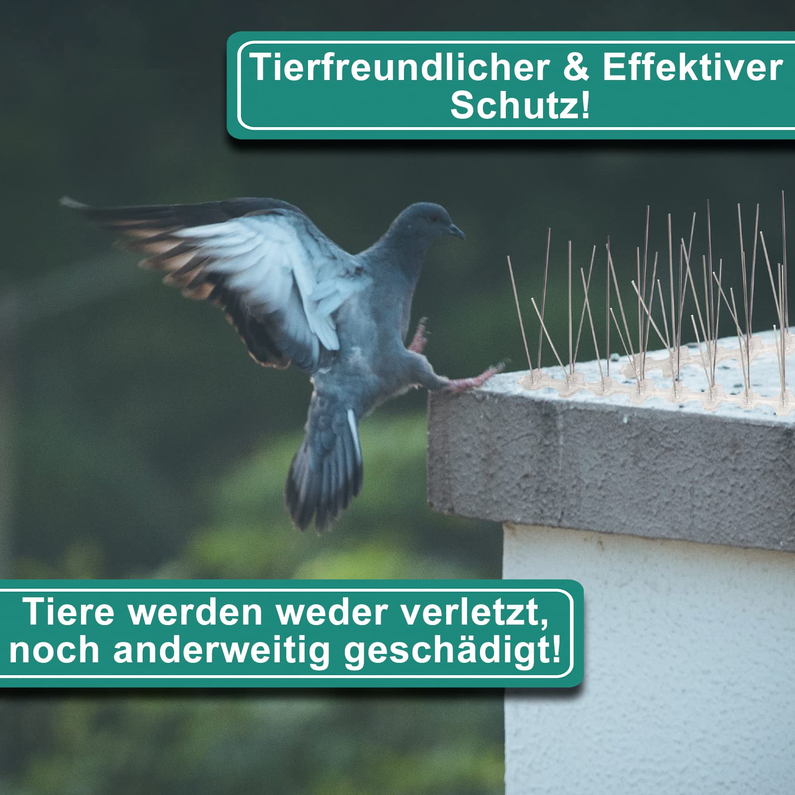 PRIOstahl Taubenspikes Edelstahl 4-reihig 3 m
